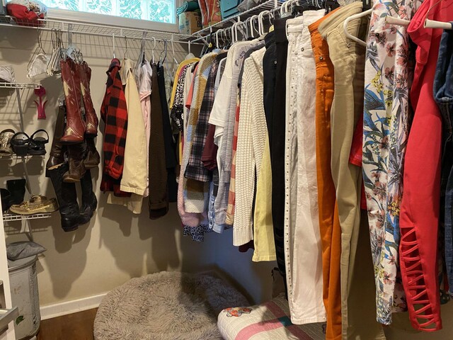 walk in closet featuring hardwood / wood-style flooring