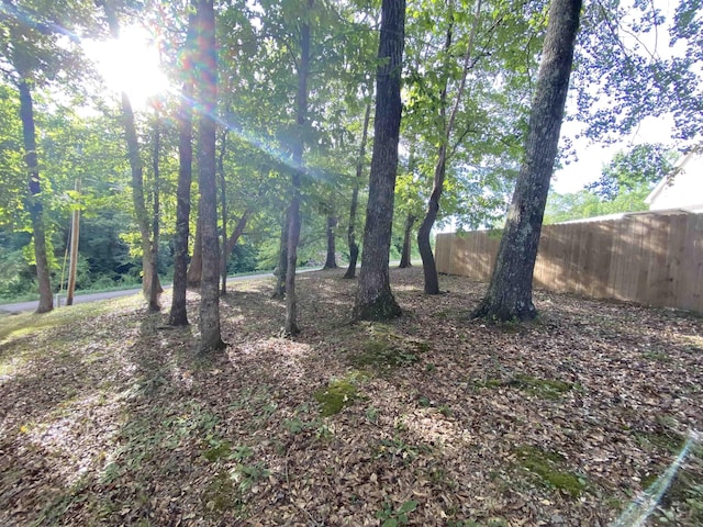 view of local wilderness