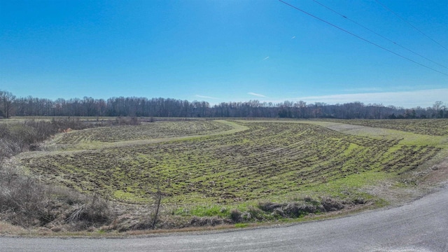 Listing photo 3 for Joe Sanderlin Rd, Stanton TN 38069