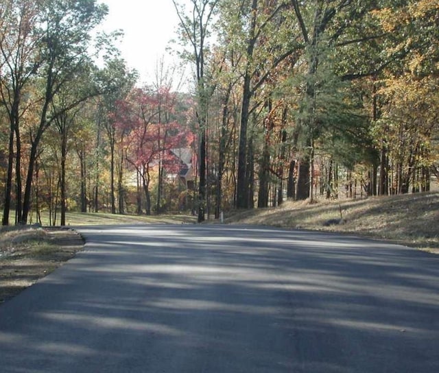 725 Aston Cross Dr, Hickory Withe, TN 38028
