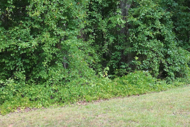 Listing photo 2 for 0 Quarry Hollow Pt, Savannah TN 38372