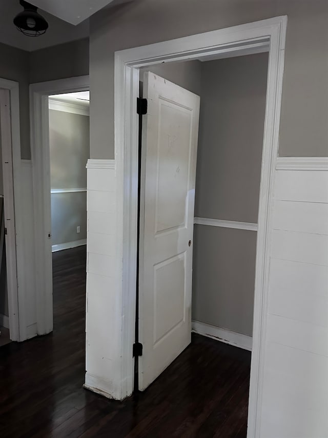 hallway featuring dark hardwood / wood-style flooring