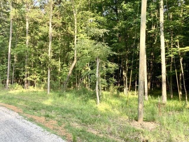 LOT54 Timber Ridge Dr, Counce TN, 38326 land for sale