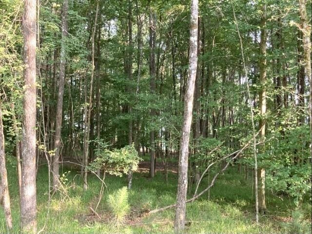 Listing photo 2 for LOT54 Timber Ridge Dr, Counce TN 38326