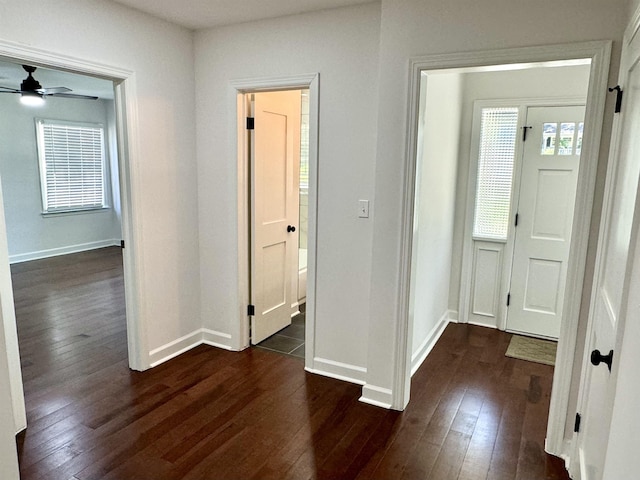 hall with dark wood-type flooring