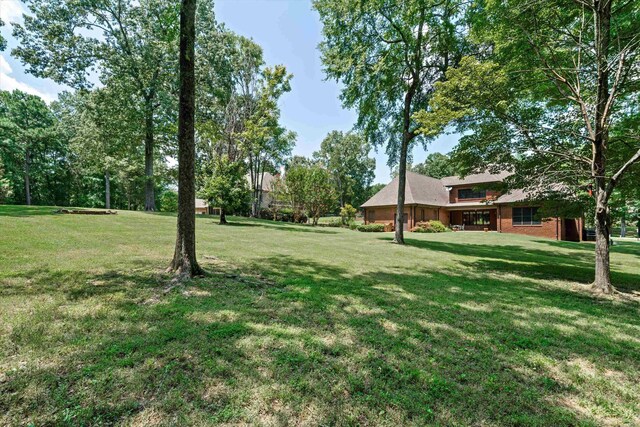 125 Millbury Ln, Eads, TN 38028 - view of yard