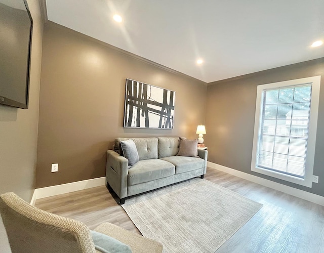 living room with ornamental molding and light hardwood / wood-style flooring