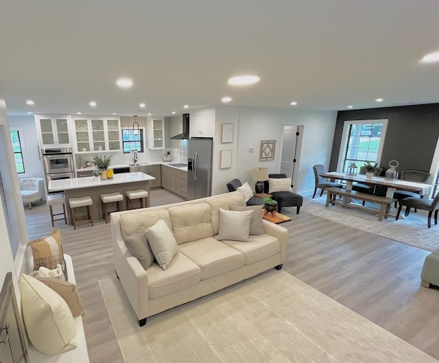 living room featuring sink and light hardwood / wood-style flooring