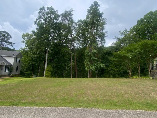 Listing photo 2 for LOT2 Light Pt, Savannah TN 38372