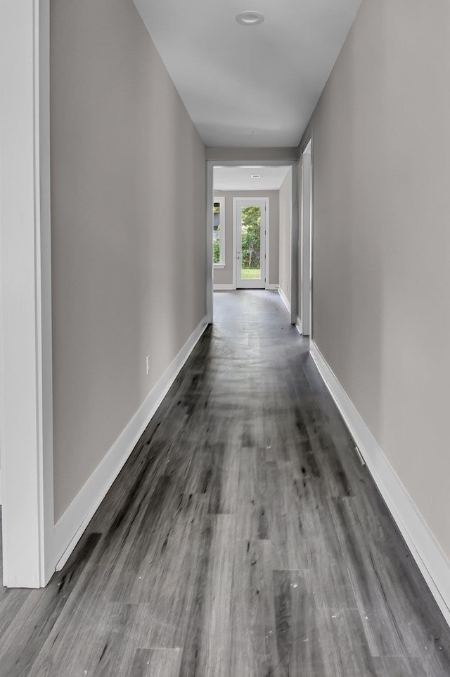 hall featuring dark wood-type flooring