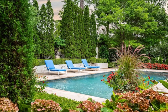 view of pool featuring a patio area