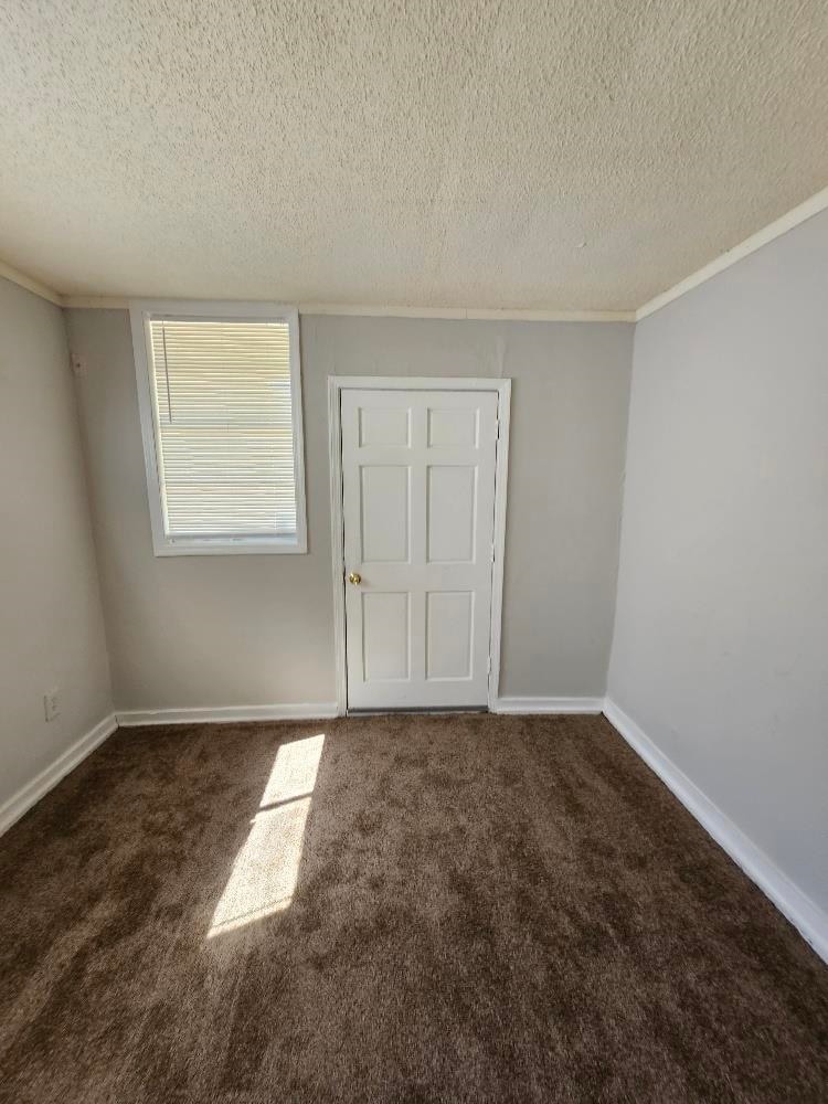 carpeted spare room featuring a textured ceiling