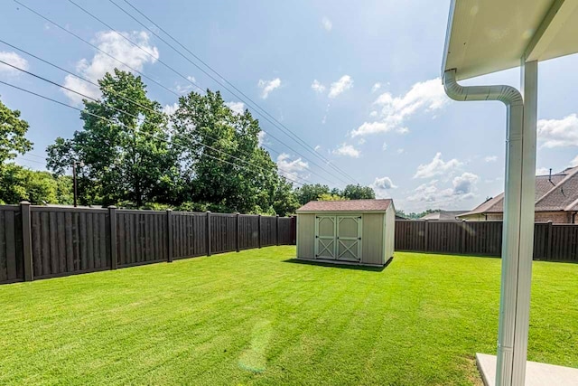 view of yard with a shed