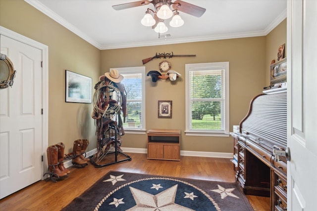 workout area featuring crown molding, wood-type flooring, and ceiling fan