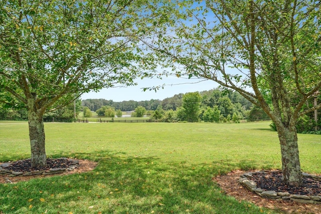 view of yard with a rural view