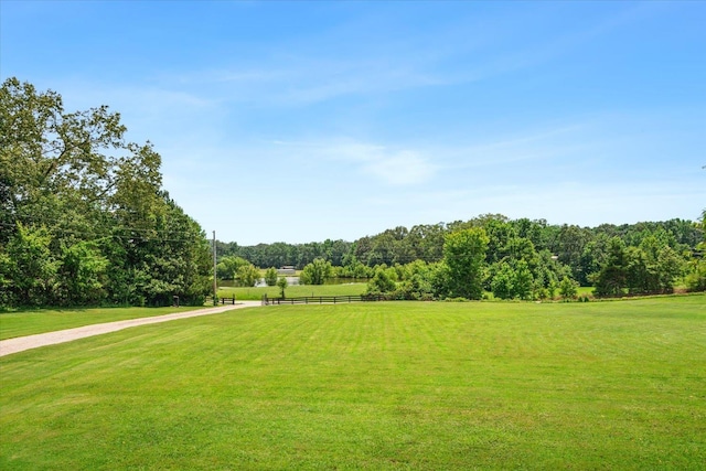 view of community featuring a yard