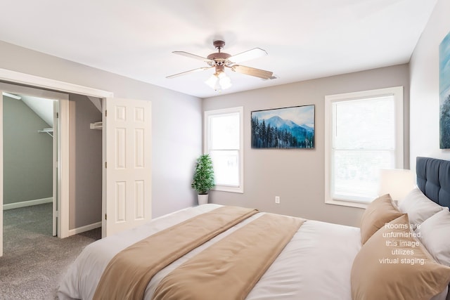 bedroom with ceiling fan, a spacious closet, and carpet floors