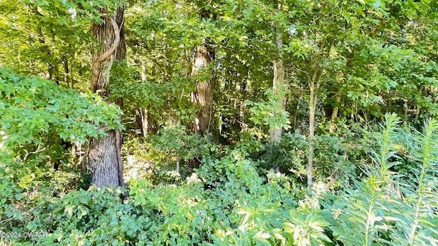 Listing photo 3 for 0 Country Club Rd, Brownsville TN 38012