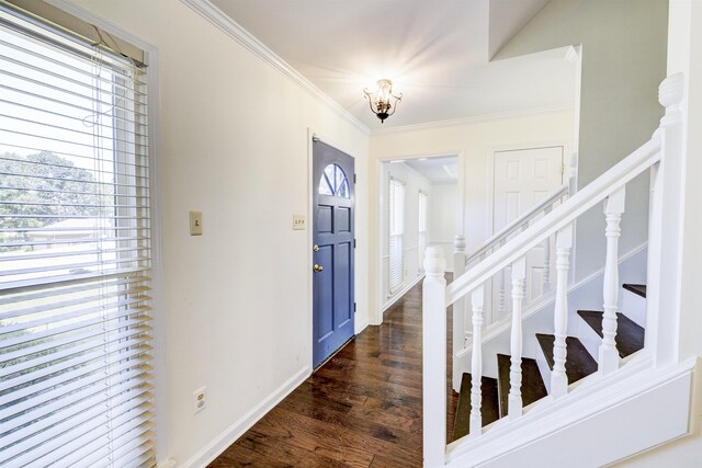 foyer entrance with crown molding and dark hardwood / wood-style floors