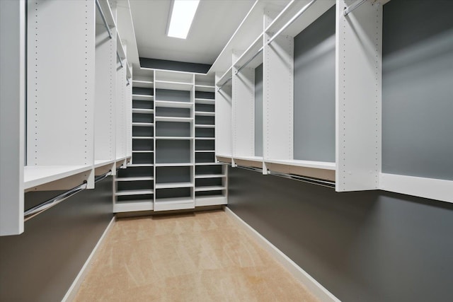 spacious closet with light carpet