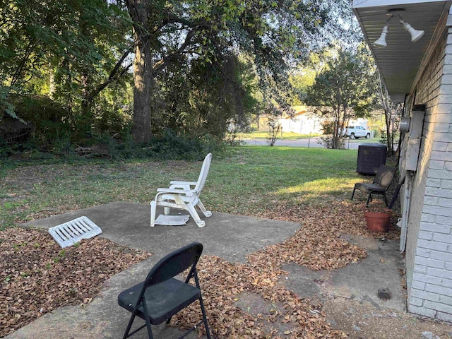 view of yard with a patio