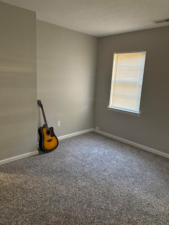 empty room with carpet flooring and a textured ceiling