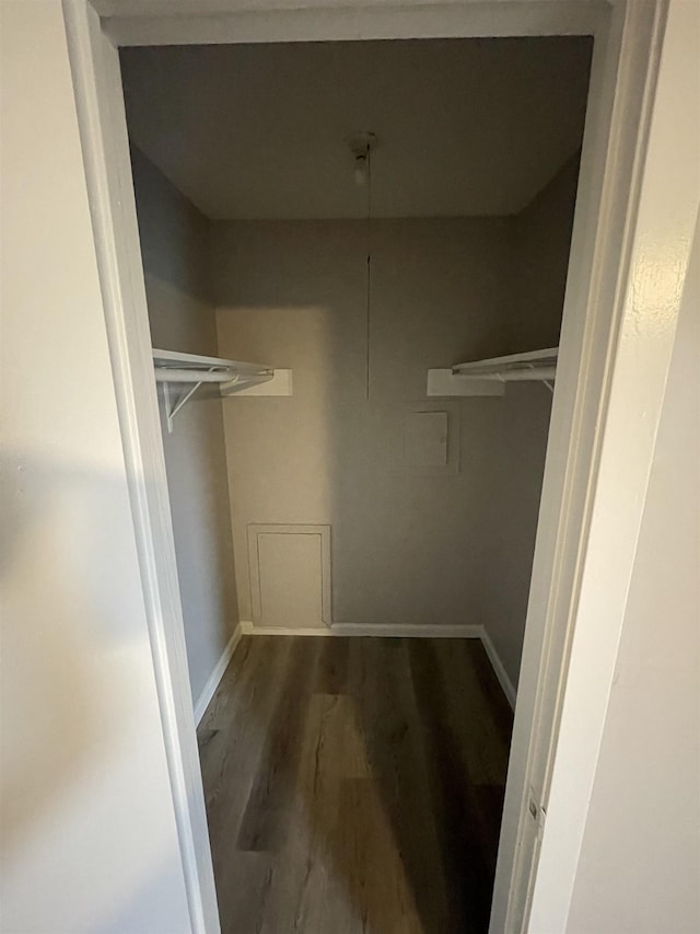 spacious closet featuring wood finished floors