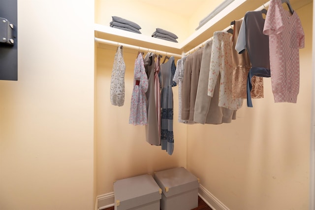 view of spacious closet