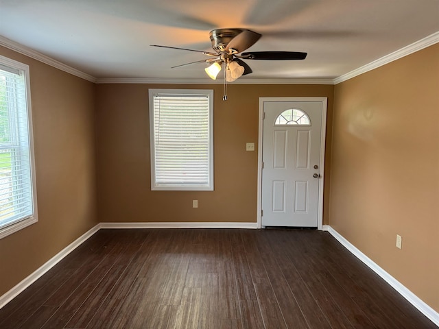 foyer featuring ornamental molding, dark hardwood / wood-style floors, and ceiling fan