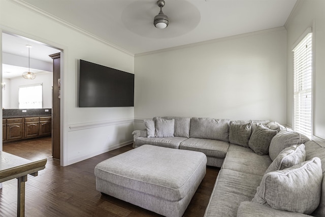 living room featuring ornamental molding, dark wood-type flooring, and ceiling fan