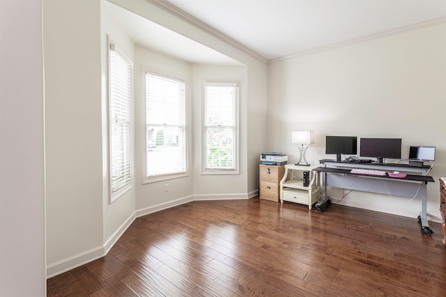 office with crown molding and dark hardwood / wood-style flooring