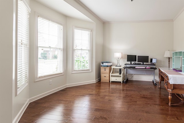 office space featuring ornamental molding and dark wood-type flooring