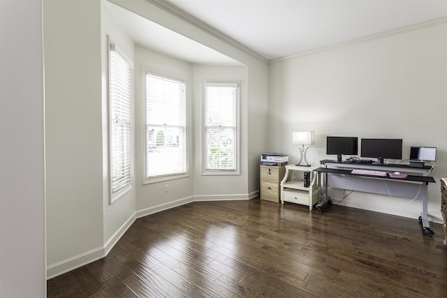 office space with crown molding and dark hardwood / wood-style flooring