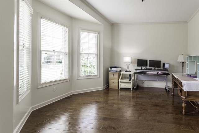 office featuring dark wood-type flooring and ornamental molding