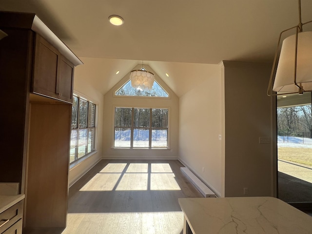 interior space featuring dark wood-style floors, baseboards, and vaulted ceiling