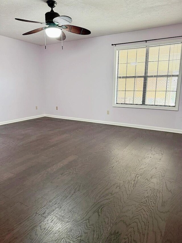 spacious closet featuring carpet