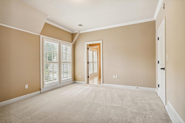 carpeted spare room with crown molding and a textured ceiling