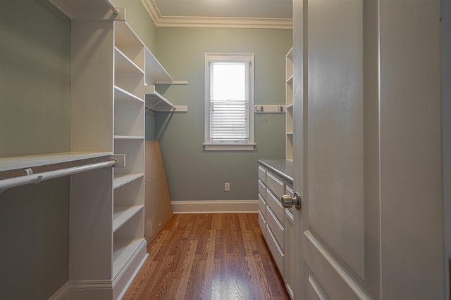 walk in closet with dark hardwood / wood-style floors