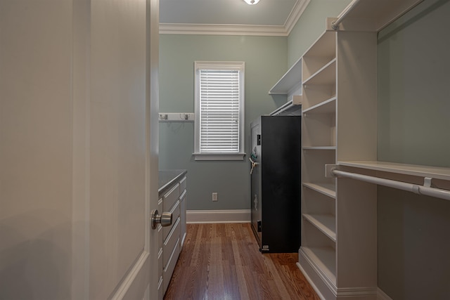 walk in closet with wood-type flooring