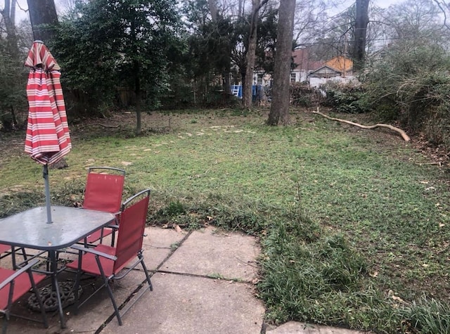 view of yard featuring a patio