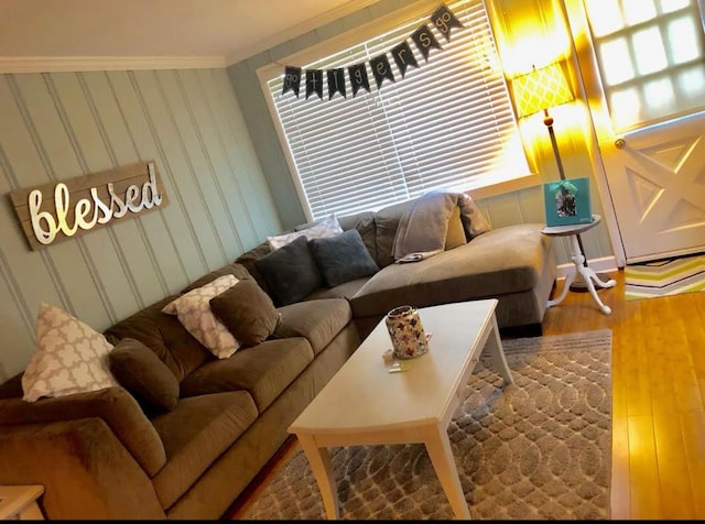 living room featuring crown molding and hardwood / wood-style flooring