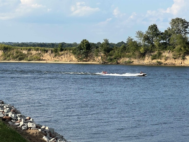 property view of water