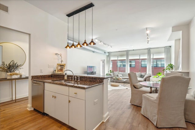 kitchen featuring stainless steel dishwasher, light hardwood / wood-style flooring, track lighting, sink, and decorative light fixtures