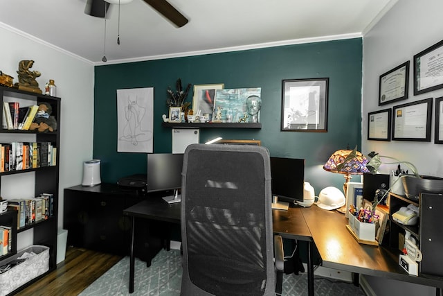 home office featuring crown molding, ceiling fan, and dark hardwood / wood-style floors