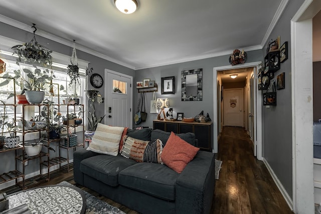 living room with ornamental molding, a chandelier, and dark hardwood / wood-style floors