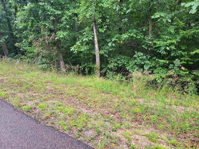 0 Yeager Ln, Counce TN, 38326 land for sale