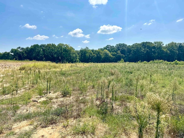 LOT0002 Marshall Rd, Munford TN, 38058 land for sale