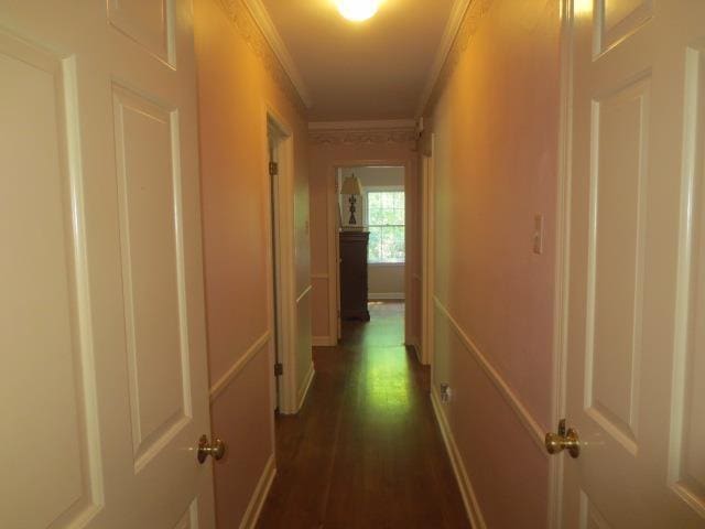 corridor featuring dark wood-style floors and crown molding