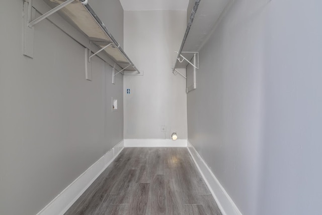 spacious closet with hardwood / wood-style flooring