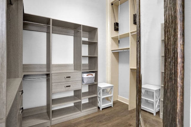 spacious closet featuring dark wood-type flooring